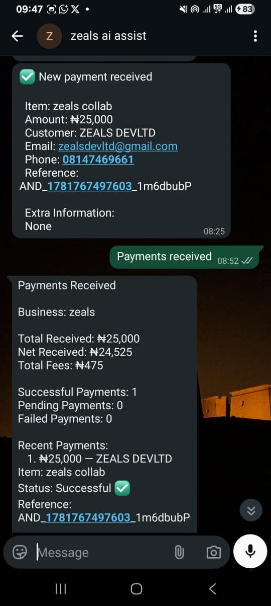 Payment link preview and confirmation flow